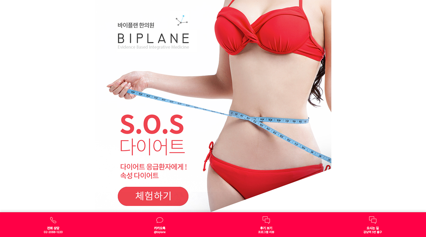 바이플랜다이어트 BIPLANE Diet